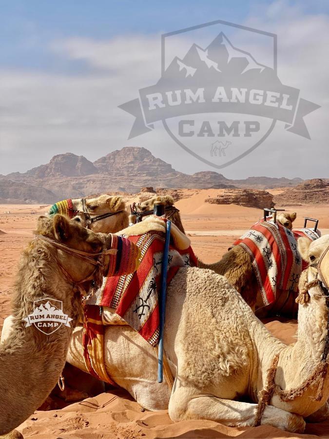 Rum Angel Camp Wadi Rum Exterior foto